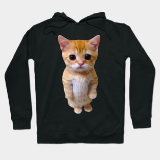 El Gato Munchkin Kitty Hoodie